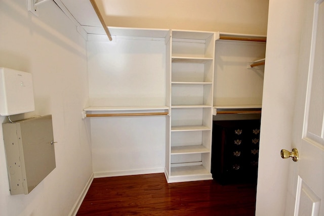 walk in closet with dark wood-type flooring