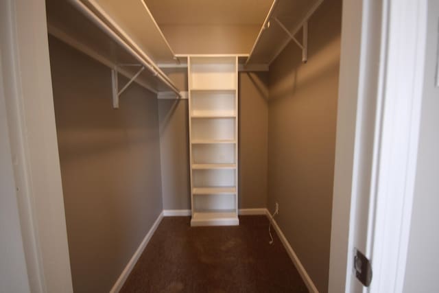 walk in closet featuring dark colored carpet