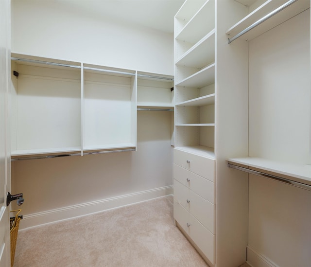 spacious closet with light colored carpet