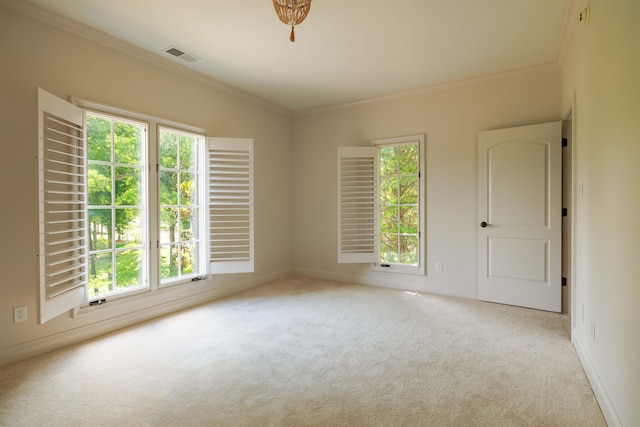 spare room with carpet and a healthy amount of sunlight