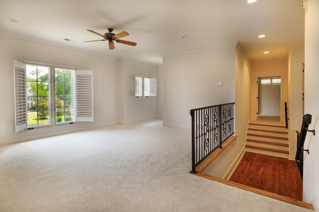 corridor featuring crown molding and carpet flooring