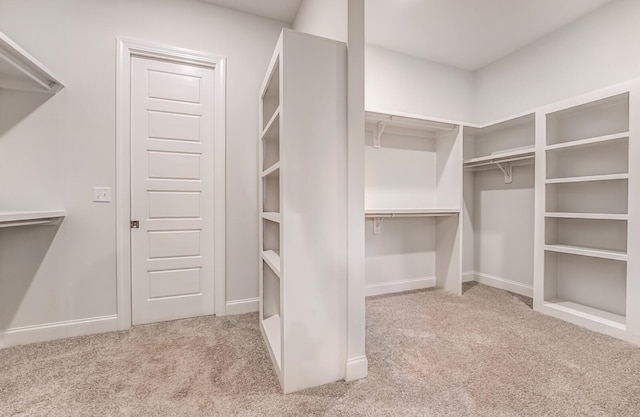 spacious closet featuring light carpet