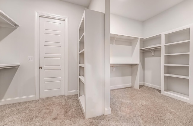 spacious closet featuring carpet floors