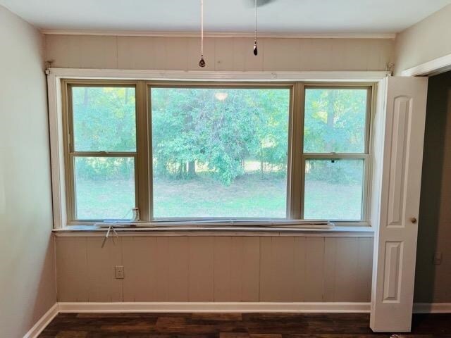 spare room featuring dark hardwood / wood-style flooring and plenty of natural light