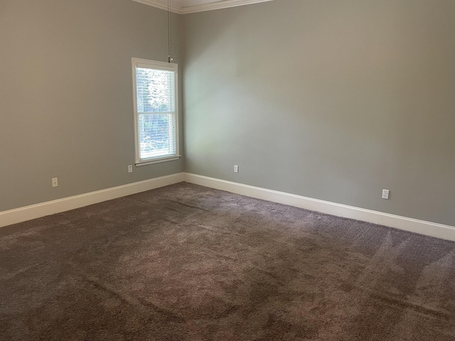 unfurnished room with carpet and ornamental molding