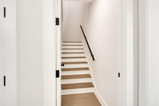 staircase featuring wood-type flooring