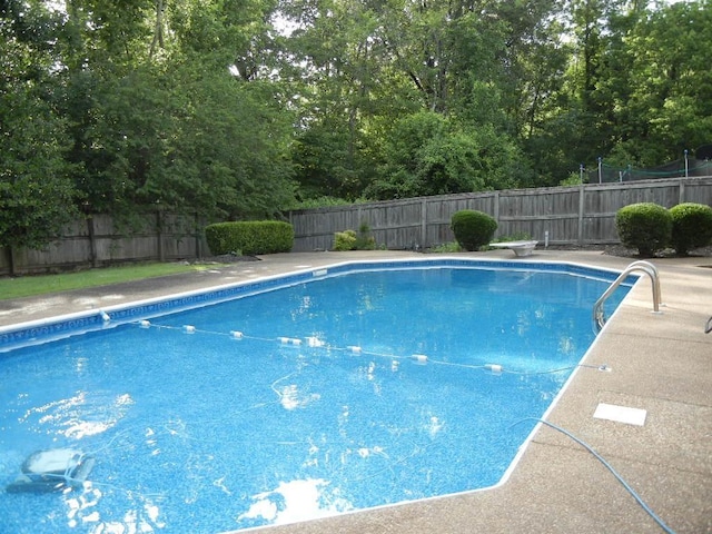 view of swimming pool featuring a diving board