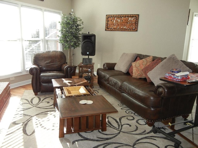 living room featuring a healthy amount of sunlight and light hardwood / wood-style flooring