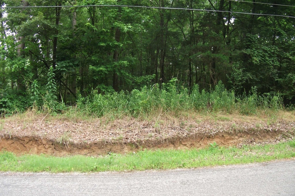 0 Lakeview Dr, Collierville, TN 38017