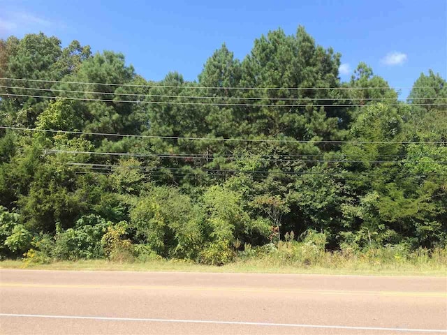 Old Brownsville Rd, Bartlett TN, 38135 land for sale