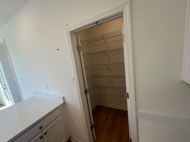 bathroom featuring hardwood / wood-style floors