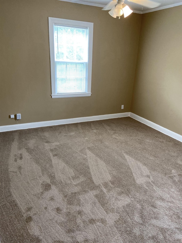 carpeted spare room with ceiling fan and ornamental molding