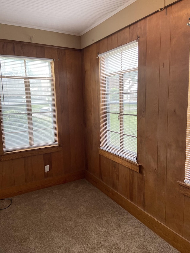 carpeted spare room featuring plenty of natural light and wood walls