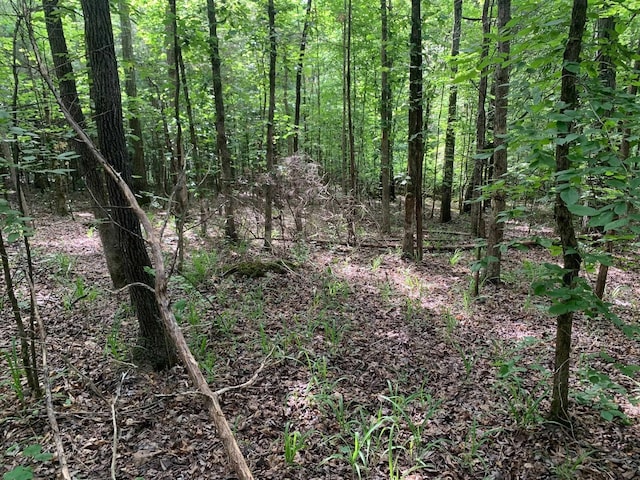 CAVEHOLLOW Lane, Savannah TN, 38372 land for sale