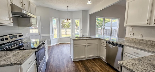 kitchen featuring sink, stainless steel appliances, dark hardwood / wood-style floors, pendant lighting, and white cabinets