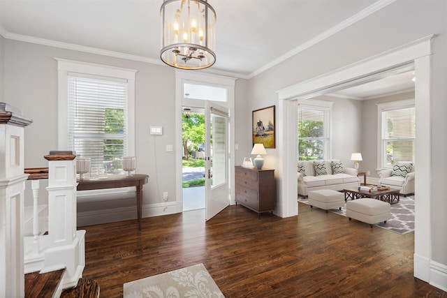 entryway featuring ornamental molding, dark wood-type flooring, a wealth of natural light, and a chandelier