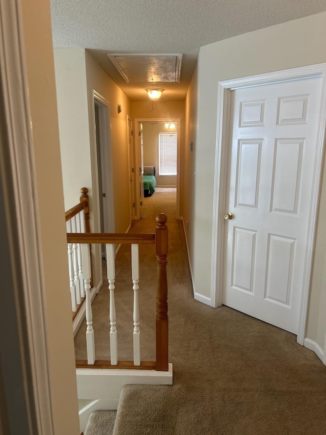 hall with carpet floors and a textured ceiling