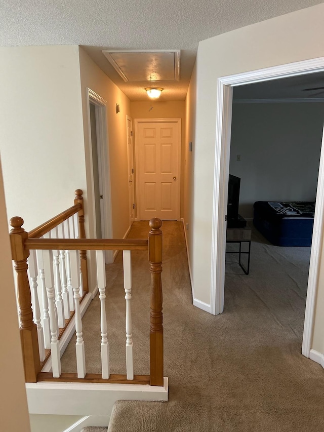 hall with carpet flooring and a textured ceiling