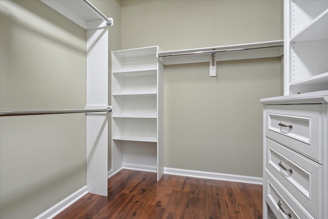 spacious closet featuring dark wood-type flooring