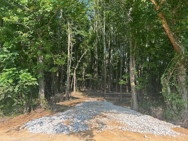 00 Hays Rd, Moscow TN, 38057 land for sale