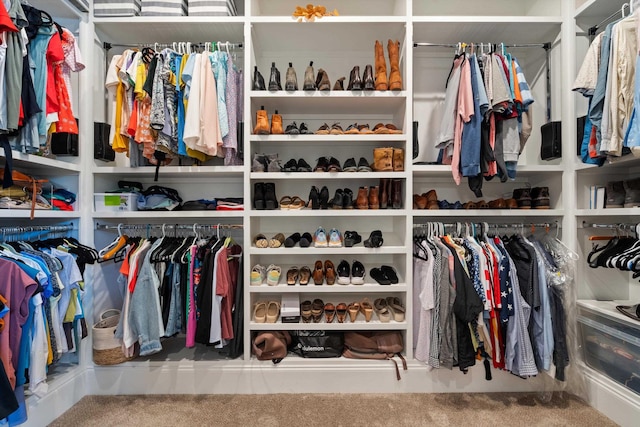 view of walk in closet