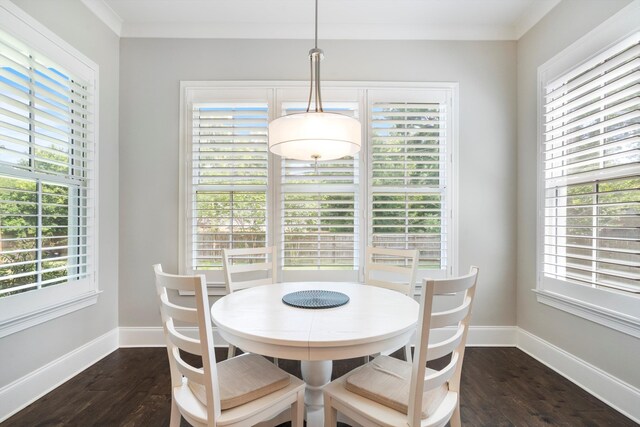 dining space featuring a wealth of natural light and dark hardwood / wood-style flooring