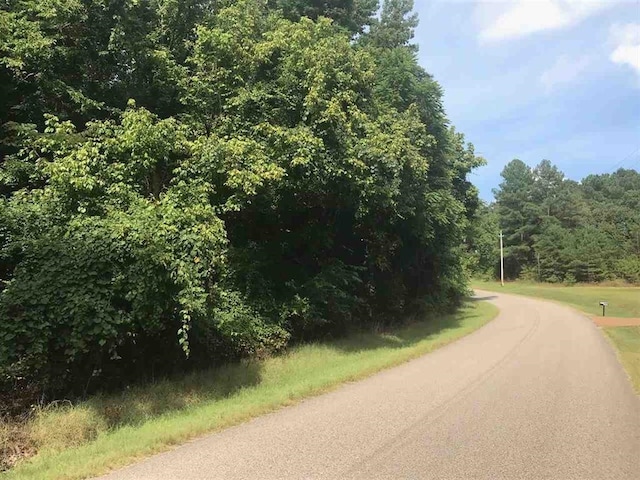 1375 Asbury Dr Lot # 22, Somerville, TN 38068