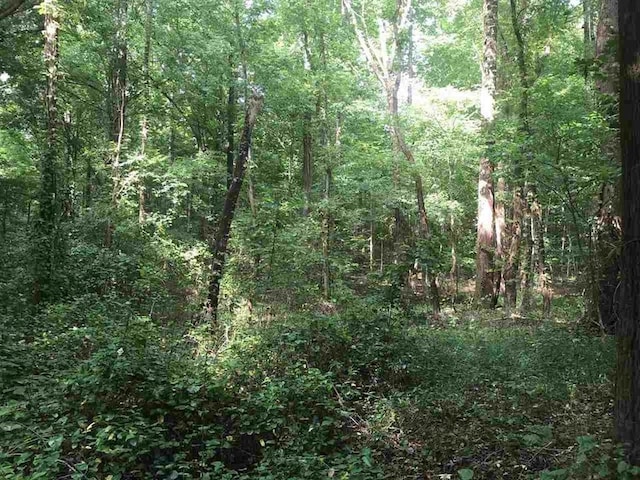 1375 Asbury Dr Lot # 22, Somerville, TN 38068