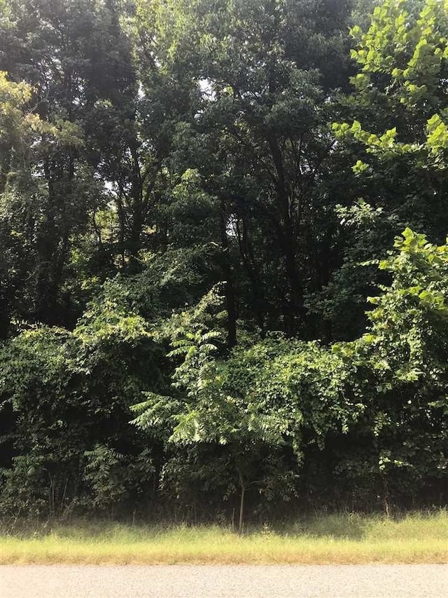 1375 Asbury Dr Lot # 22, Somerville, TN 38068