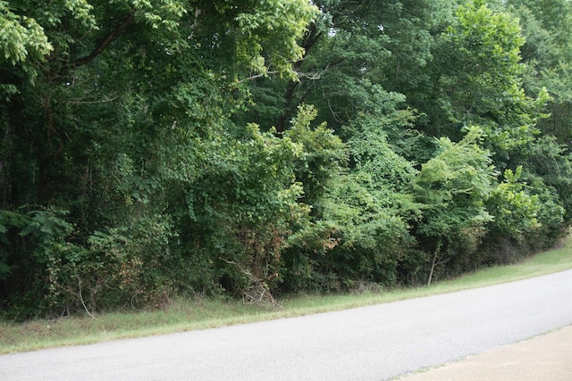 1375 Asbury Dr Lot # 22, Somerville, TN 38068