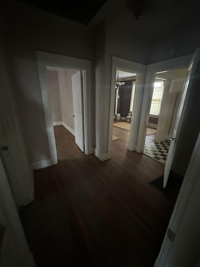 hallway featuring dark hardwood / wood-style floors