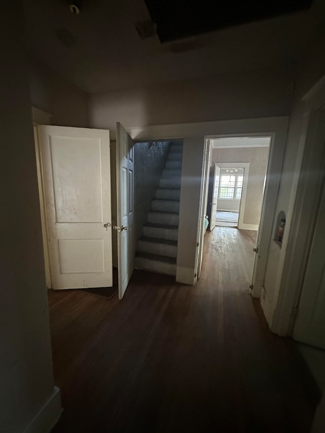 corridor with dark hardwood / wood-style floors