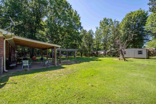 view of yard featuring a patio area and a storage unit