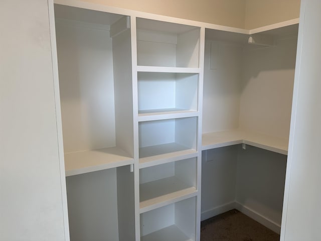 spacious closet featuring carpet