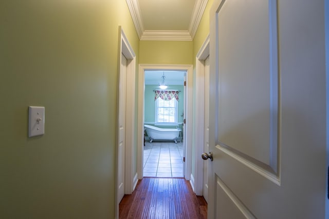 hallway featuring crown molding and hardwood / wood-style flooring