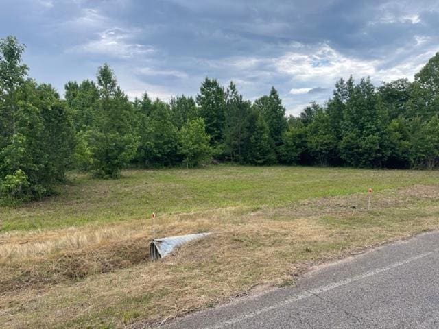 Pea Vine Rd, Middleton TN, 38052 land for sale