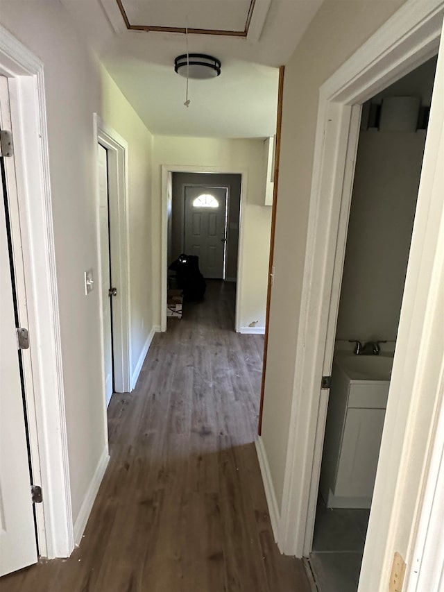 hall featuring sink and dark hardwood / wood-style flooring