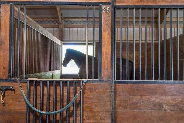 view of horse barn