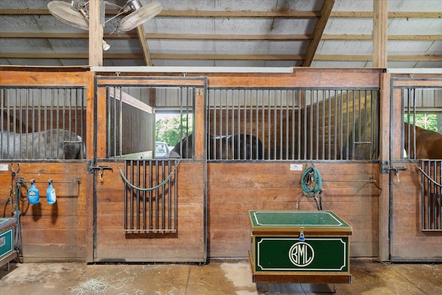 view of horse barn