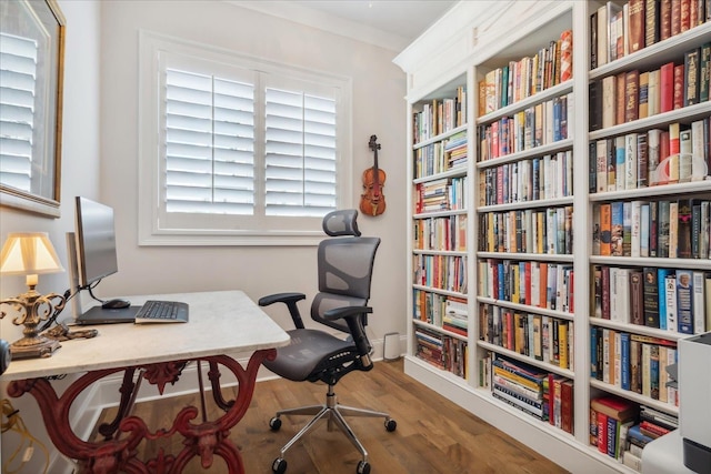 office featuring hardwood / wood-style flooring