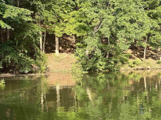 174 Arborwood Ln, Savannah, TN 38372