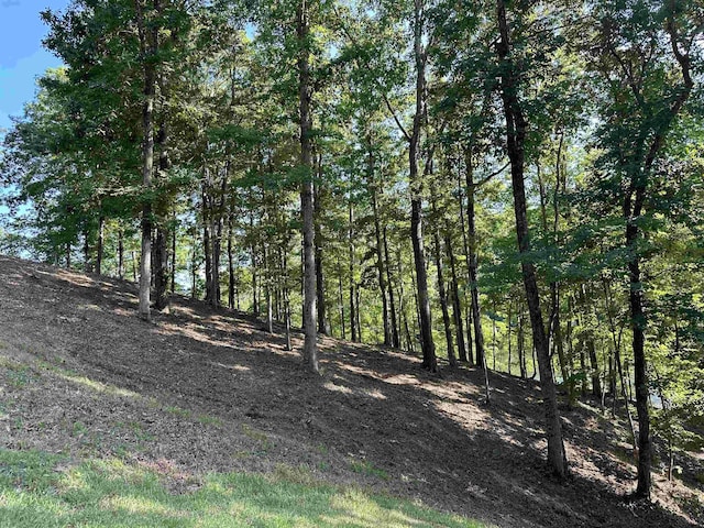 174 Arborwood Ln, Savannah, TN 38372