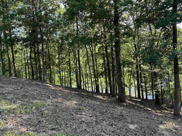 174 Arborwood Ln, Savannah, TN 38372