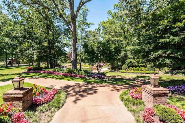 view of home's community featuring a yard