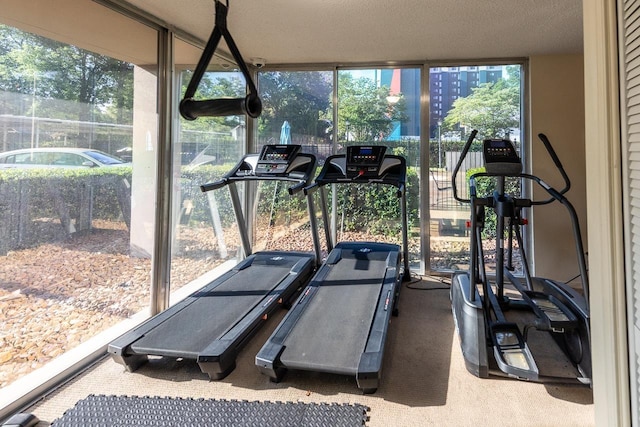 exercise area featuring a textured ceiling