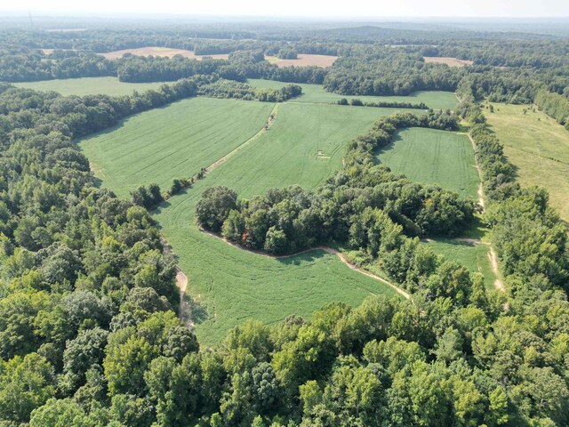 2485 Turner Rd, Grand Junction, TN 38039