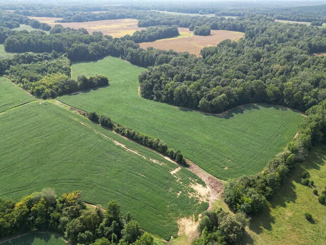 2485 Turner Rd, Grand Junction, TN 38039
