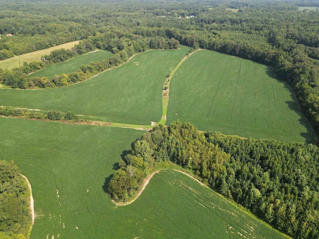 2485 Turner Rd, Grand Junction, TN 38039