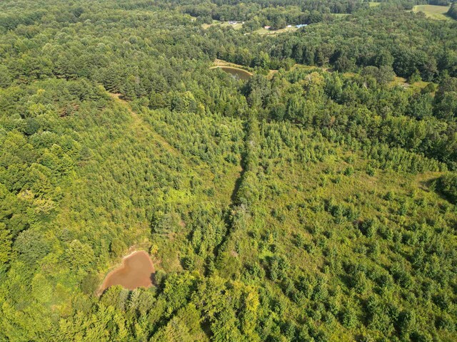 2485 Turner Rd, Grand Junction, TN 38039
