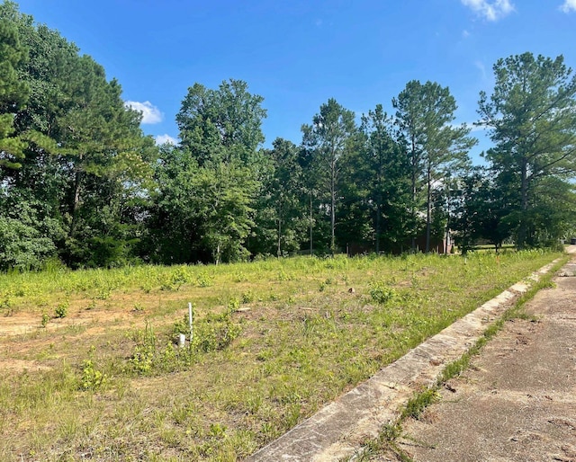 Listing photo 3 for LOT12 Graham Ridge Rd, Iuka MS 38852